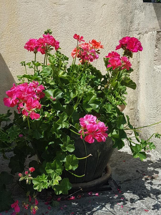 Le Clos Des Colverts Campagne-sur-Aude Extérieur photo